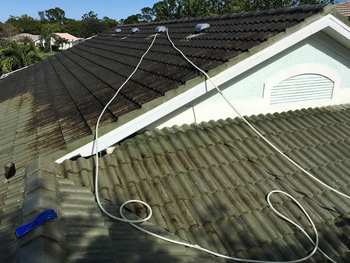 roof cleaning img 3