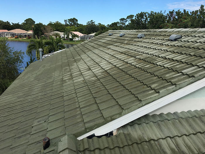 roof cleaning img 4